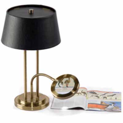 Desk Lamp With Lighted Magnifier
