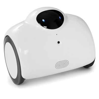 The Smartphone Controlled Home Patrolling Robot