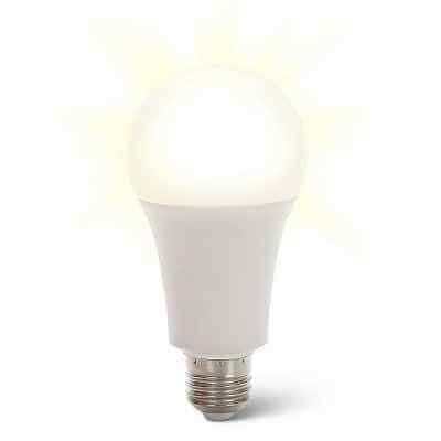 The Uninterruptable Power Outage Light Bulb 1