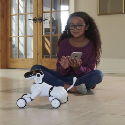 The Voice Controlled Robodog