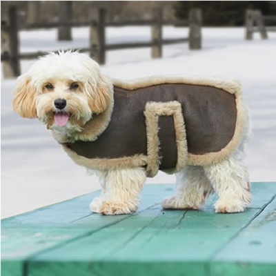 Dogs-Leather-Shearling-Bomber-Jacket