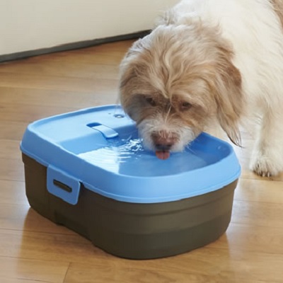 Pet’s-Cordless-Filtered-Water-Fountain